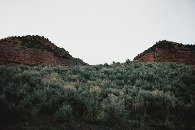 Tall grass and mountains