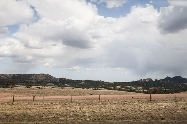 Fenced Landscape